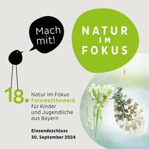 PM_Natur im Fokus