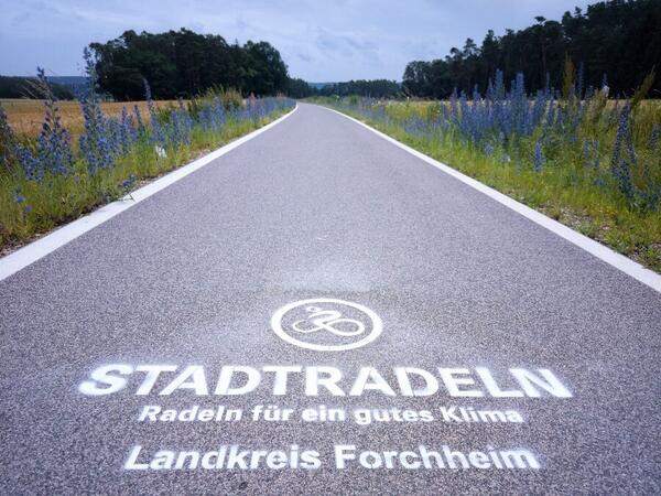 Bild vergrößern: PM2025_095 Stadtradeln